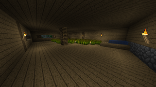 A screenshot showing the one of the floors inside of Xchofica's old lodge. It is a barren wooden room, with small windows far in the corner. Some crops are growing in the floor.