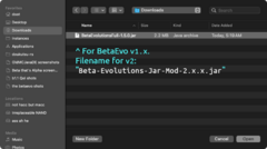 Beta 1.7.3 installation guide - RetroMC