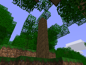 TREE3.png