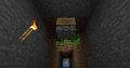 Tunnel built by  Binx_CDH leading to Lednice.