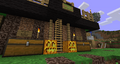 (3) Shop in front of the creeper farm