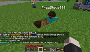 Free Steve and FreeSteve999