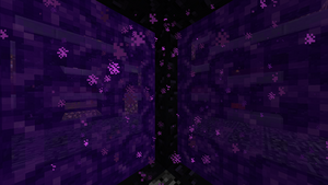 Nether-1.png