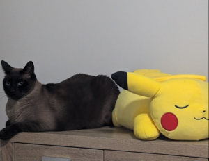 Scout-and-Pikachu.png