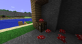 Mushrooms have taken over this crafting table