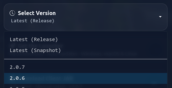 Selection of version 2.0.6 on the website..