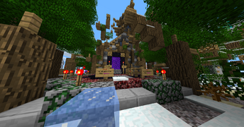 The Nether portal in spawn, opposite to the admin shop.