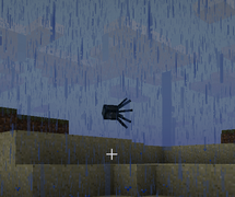 Josh spotted flying very close to the ground on Feb 22, 2025. As seen by  Crimcity.